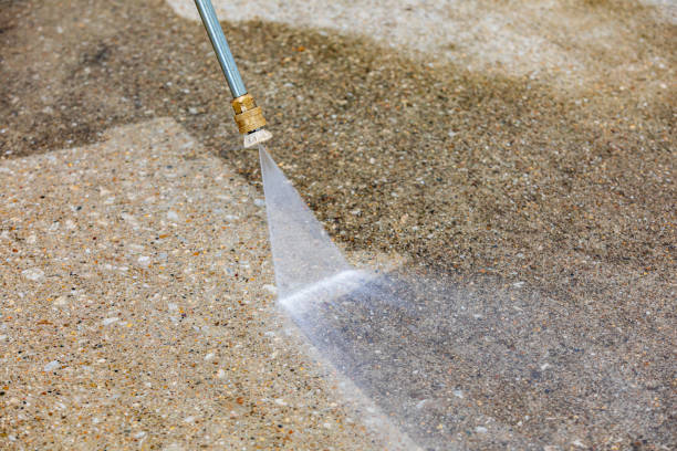 Animal Enclosure Cleaning in Beresford, SD